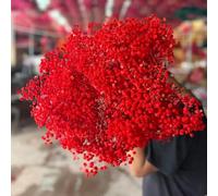 Semi di Gypsophila resistente perenni resistenti alla copertura del terreno, per il balcone da 100pcs