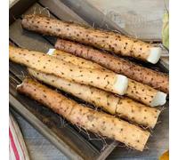 Semi di igname - vecchie varietà balcone serra vecchie varietà di invernali per luoghi soleggiati aromatiche da giardino resistenti per giardini 100pcs