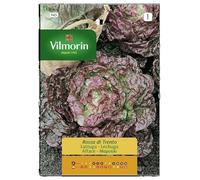 Vilmorin - Semi di insalata Rosa Triento - Rif. 945 - 5 Gr
