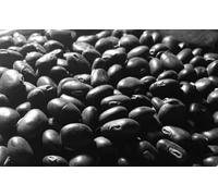 Semi di Kaunch Nero Mucuna Pruriens Indian Velvet Bean Konch Beej 60 g a 1 kg