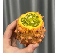 Semi di kiwano balcone resistenti semi di spalliera frutteto acquistare colonnari serre balcone colonnare per 100pcs