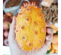 Semi di Kiwano, esotiche di kiwano, Cucumis metuliferus, rari resistenti per il giardino di antiche varietà rustiche per balconi 50pcs