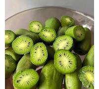 semi di kiwi, bacche di kiwi d'appartamento esotiche interno balcone, resistenti esterno in vaso colonnari, 250pcs