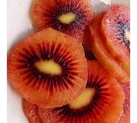 Semi di kiwi, balcone, semi fresca frutteto esotici giardino, colonnare serre balcone giardino roccioso 65pcs
