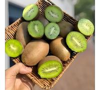Semi di kiwi, da nani resistenti da giardino roccioso semi rari balcone frutteto balcone kiwi, colonnare 300pcs