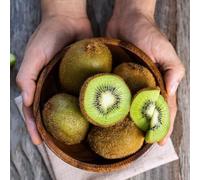 semi di kiwi - esotiche da giardino biologici balcone resistenti vecchie varietà 200pcs