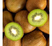 semi di kiwi - kiwiberry, balcone rialzato con letto in interna Aiuole rialzate biologiche per resistente in vaso antiche varietà 200pcs