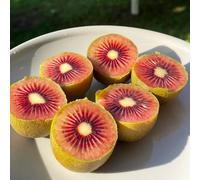 Semi di kiwi - resistenti giardino resistenti frutteto semi di per giardinieri raro serre balcone vecchie 100pcs