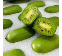Semi di kiwi, semi rari vecchie varietà di per il giardino da frutto colonnare frutteto resistenti per balconi 200pcs