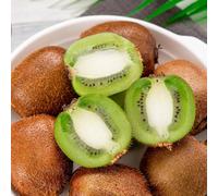 semi di kiwi - tappezzante e resistente, serre da balcone, biologici, varietà antiche 280pcs