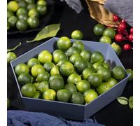 Semi di kumquat serre balcone frutteto acquistare resistenti colonnari semi di,resistenti vecchie varietà colonnari 150pcs