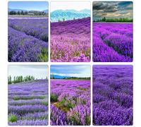 semi di lavanda giardino sul balcone interno decorazione 600pcs