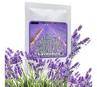 Semi di Lavanda Officinale - ca. 150 pezzi per confezione - perenne/resistente - pianta da giardino molto popolare con profumo aromatico - coltivazione in giardino o in vaso