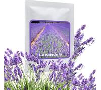 Semi di Lavanda Officinale - ca. 500 pezzi per confezione - perenne/resistente - pianta da giardino molto popolare con profumo aromatico - coltivazione in giardino o in vaso