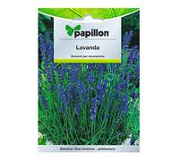 Semi Di Lavanda Per Orto In Bustina Pianta Aromatica Perenne 0,5 Grammi