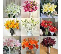 Semi di Lilium, semi di rare regali per gli amanti del giardino resistenti all'esterno amici vecchie varietà autunnali resistenti selvatici 25pcs