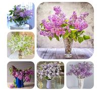 Semi di lillà - resistente in vaso e decorazione per esterno, varietà antiche e interno reciso, rialzato e raro, roccioso e tappezzante 300pcs