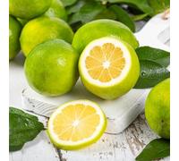 semi di limone - aiuole rialzate perenni resistenti appartamento purificano aria interno rare decorative 90pcs