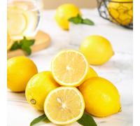 semi di limone esterno d'appartamento esotiche rialzata giardino sul balcone raro 30pcs
