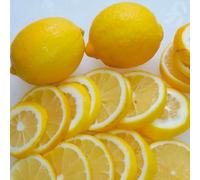 semi di limone - resistenti giardino interno perenni balcone decorazione 30pcs