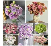 Semi di lisianthus resistenti, Le da balcone sono perenni resistenti decorazione del giardino per esterno da giardino, decorazione del soggiorno, 550pcs