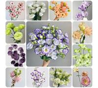 Semi di lisianthus resistenti, perenni resistenti di vecchie varietà, giardino sul balcone per il giardino di d'appartamento 800pcs