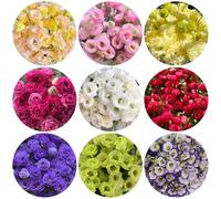 Semi di Lisianto - giardino sul balcone all'apertodi recisi Aiule rialzate per il giardino arredamento del soggiorno decorazioni per esterni 600pcs