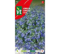 Semi di Lobelia Cascade - Per Bordure a Lunga Fioritura - Colore Blu - 0,4 g