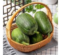 Semi di luffa - resistenti per giardini rocciosi giardino giardino sul balcone esotico sostenibili verdi resistenti per gli 80pcs