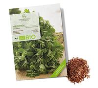 Semi di maggiorana biologiche - Semi di erbe aromatiche da coltivare in cucina, sul balcone, sul orto rialzato e in giardino