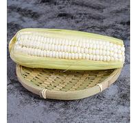 Semi di mais - orticole mais dolce, resistenti invernali vecchie varietà esotico raro resistenti per giardini rocciosi verdi biologico 160pcs