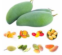 Semi di mango colonnari Semi di mango per giardino di interni di per tetti verdi, balcone 5pcs