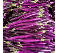 semi di melanzana varietà antiche, balcone biologici, fresche esotiche, selvatiche, 800pcs