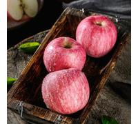 semi di melo-Coltivazione di semi,da frutto colonnari Giardino to,regali per gli amanti del giardino Giardino decorativo 150pcs