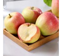 semi di melo-da balcone,balcone serra Semi di,resistenti per il giardino Le da giardino sono perenni resistenti da frutto 10pcs