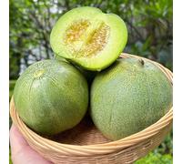 Semi di melone - biologici Cucumis melo - resistenti per il giardino da balcone resistenti 100pcs