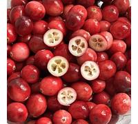 semi di mirtillo rosso - esotiche resistenti perenni balcone, vecchie varietà 85pcs