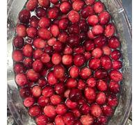 semi di mirtillo rosso, esotici, letto rialzato da giardino, tappezzanti resistenti perenni, 150pcs