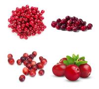 semi di mirtillo rosso, mirtillo rosso, Macrocarpon vaccinico, vaso per fresche di resistente per il giardino vaso 400pcs