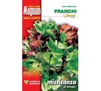 SEMI DI MISTICANZA LATTUGHE FRANCHI SEMENTI