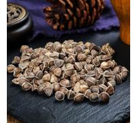 Semi di Moringa - Le sono resistenti Semi di Moringa oleifera - semi, regali sostenibili Le sempreverdi sono resistenti da balcone 200pcs