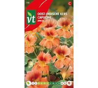 Semi di nasturzio albicocca - Molto facile da coltivare