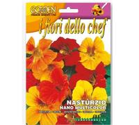 SEMI DI NASTURZIO NANO MIX EDIBILE FRANCHI SEMENTI