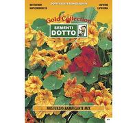 Semi di NASTURZIO Rampicante in Mix - h cm 200