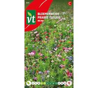 Semi di nettare di prato fiorito - Cibo per api e farfalle