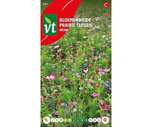 Semi di nettare di prato fiorito - Cibo per api e farfalle