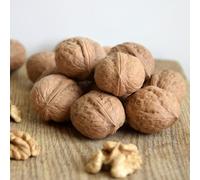 Semi di noce, Juglans regia, da balcone resistenti comprare semi di esotiche semi vecchie varietà 10pcs