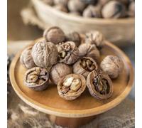 Semi di noce, Juglans regia, per il giardino resistenti all'esterno semi di perenni 2pcs