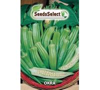 Semi di OKRA Abelmoschus Esculentus (Hibiscus esculentus)