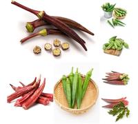 semi di okra biologici - perenne resistenti di interni semi di okra balcone 180pcs